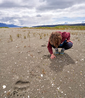 Checking out bear tracks on the beach