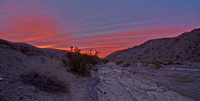 Sunrise at Mesquite Springs