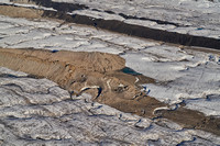 Melt Channels on the lower Ruth Glacier