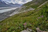 South facing hillsides have tundra for miles up glacier