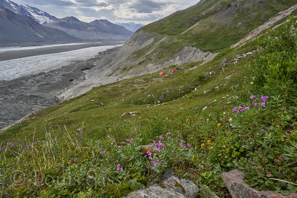 South facing hillsides have tundra for miles up glacier